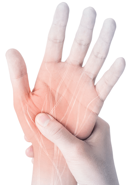 Hand Nerven