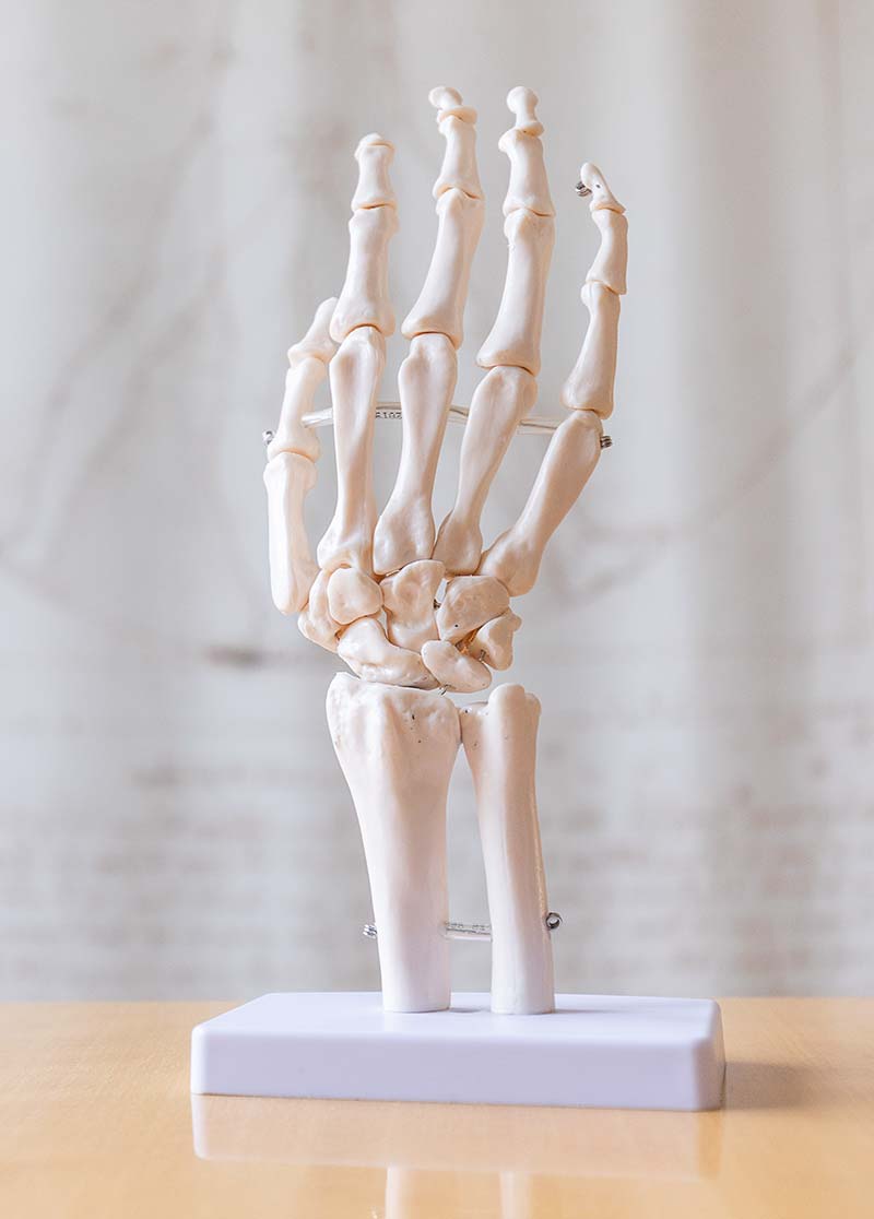 Hand Knochen